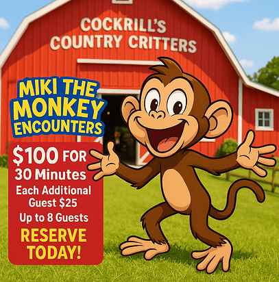 4B70B2BB-269C-4520-AC2E-E02AF7FDC123 2